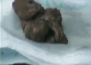 Wintertime poo action even if she is outdoor